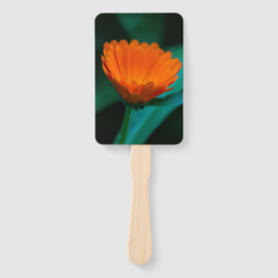 Sinaasappel madeliefje bloem handwaaier