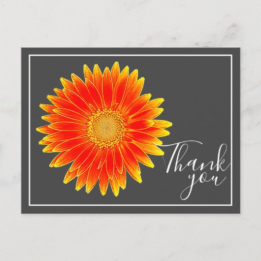 Sinaasappel Madeliefje Bloem Met Grijs Achtergrond Briefkaart (Voorkant)