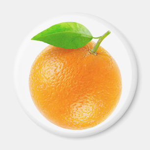 Sinaasappel Magneet