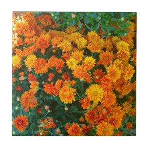 Sinaasappel Margarita Daisy Tile Tegeltje