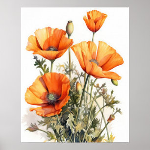 Sinaasappel Poppy Flowers Art Print Poster