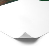 Sinaasappel Poster (Hoek)