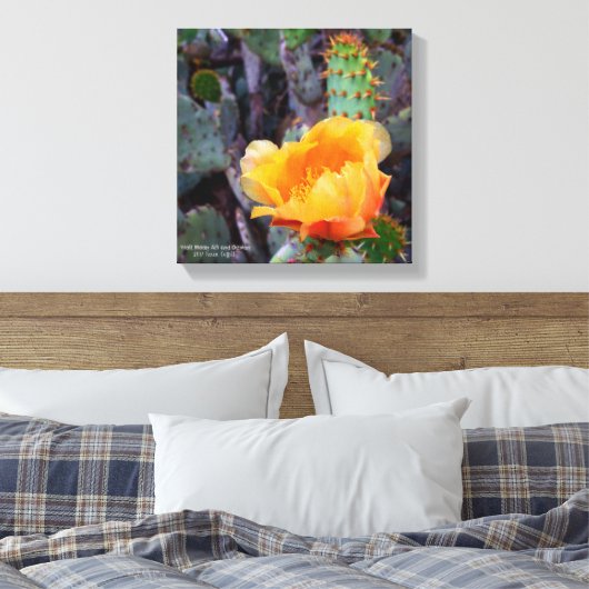 Sinaasappel Prickly Pear Cactus Bloesem Bloesem Canvas Afdruk (Insitu (Slaapkamer))