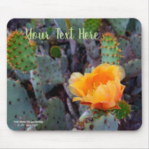 Sinaasappel Prickly Pear Cactus Bloesem Bloesem Muismat