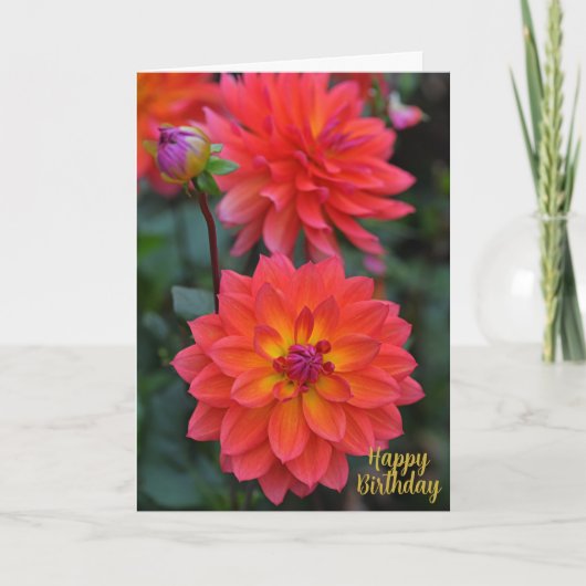 Sinaasappel, rood, geel Dahlia Flower Happy Birthd Kaart (Voorkant)
