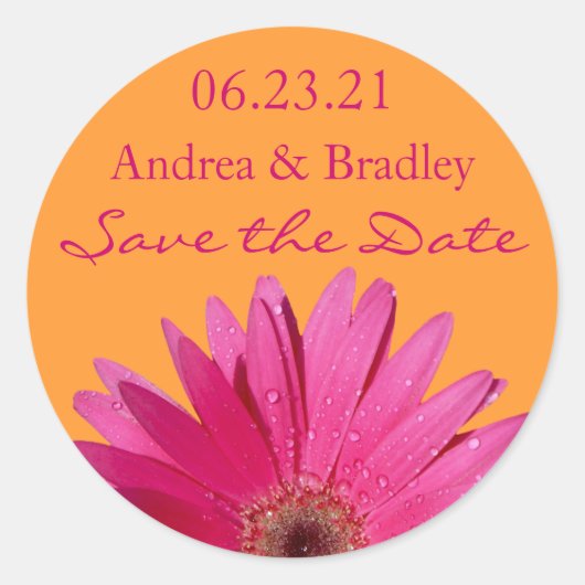 Sinaasappel Roze Gerbera Daisy Save the Date Stick Ronde Sticker (Voorkant)