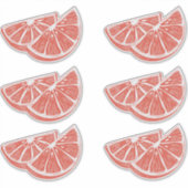 Sinaasappel Sticker (Voorkant)
