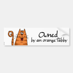 sinaasappel tabby bumpersticker