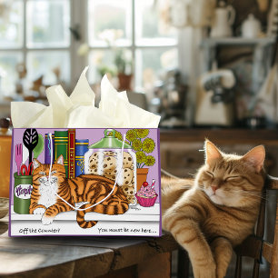 Sinaasappel Tabby Keuken Counter Top Cat Groot Cadeauzakje