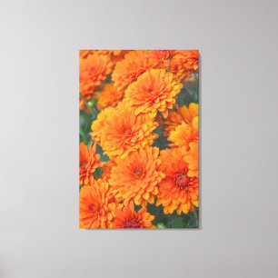 Sinaasappel Tuinbloemen Mums Art Canvas Afdruk