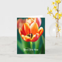 Sinaasappel Tulp Wenskaart
