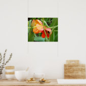 Sinaasappel Tulptuur Poster (Keuken)