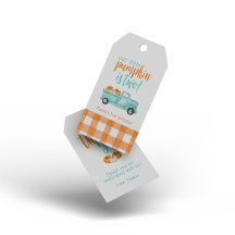 Sinaasappel & turquoise pompoen oogstwagen