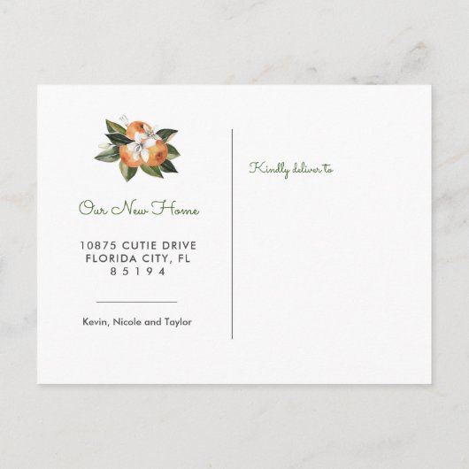 Sinaasappel Wij Zijn Verhuisd Verhuisbericht Ansic Aankondigingskaart (Achterkant)