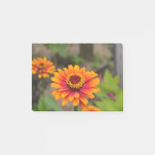  Sinaasappel Zinnia Post-it® Notes (Voorkant)
