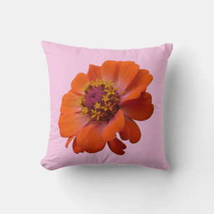 Sinaasappel Zinnia Wilde Bloem Natuur Bloem Kussen