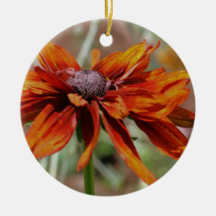 Sinaasappel Zwart Eyed Susan Flower Ornament