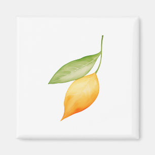 Sinaasappelblad Magneet