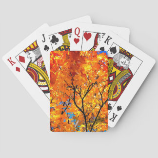 Sinaasappelbladeren Pokerkaarten