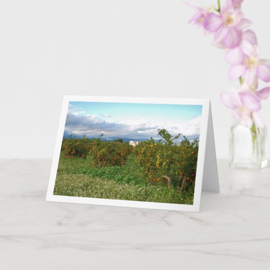 Sinaasappelboomgaard, Valencia, Spanje Kaart (Orchidee)