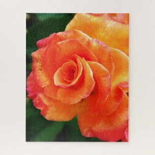 Sinaasappelroos bloem legpuzzel