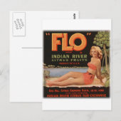 Sinaasappels Briefkaart (Voorkant / Achterkant)