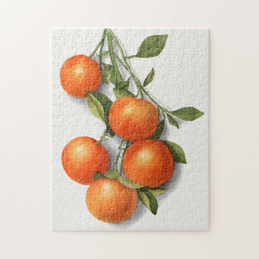 Sinaasappels (Calamondiaan) Waterverf van fruit Legpuzzel (Verticaal)