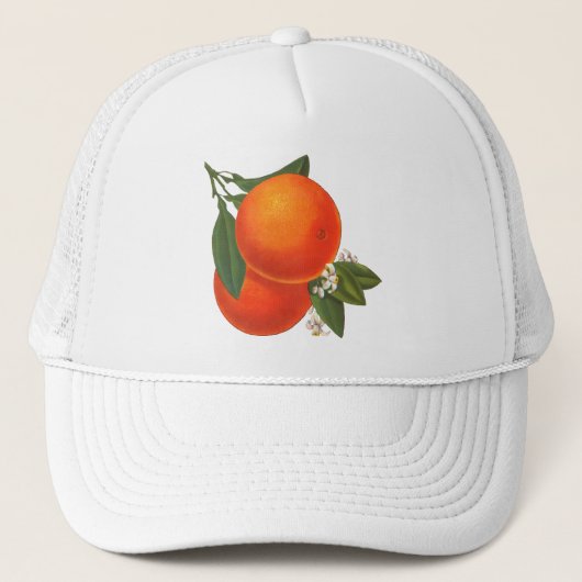 Sinaasappels Crate Art Trucker Pet (Voorkant)