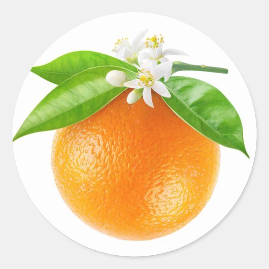 Sinaasappels en bloemen ronde sticker (Voorkant)