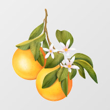 Sinaasappels en bloesems op een tak Markt