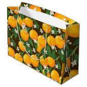 Sinaasappels Groot Cadeauzakje (Achterkant Gekanteld)