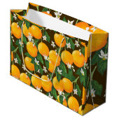 Sinaasappels Groot Cadeauzakje (Voorkant Gekanteld)