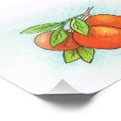 Sinaasappels Illustratie Foto afdrukken Afdruk (Hoek)