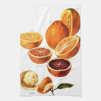  Sinaasappels keukenhanddoek