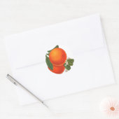 Sinaasappels  Krat Art Sjabloon Ronde Sticker (Envelop)