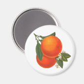 Sinaasappels krat kunstmagneet magneet (Voorkant / Achterkant)