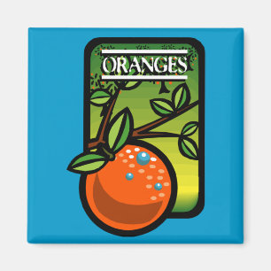 Sinaasappels Magneet