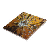 SINAASAPPELS TEGELTJE (Zijkant)