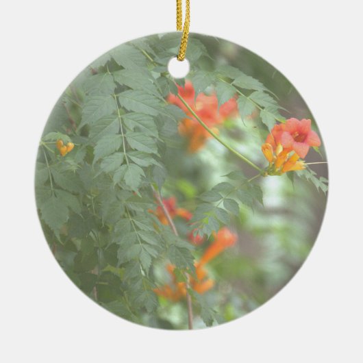 Sinaasbloemen Ornament (Voorkant)