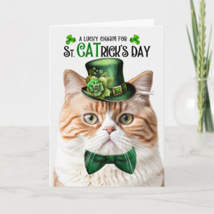 Sinaasgele Tabbykat St. Patrick's Day Geluksbrenge Feestdagen Kaart