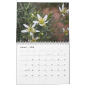 Sinai Desert Flowers Kalender (Jan 2026)