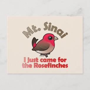 Sinai Rosefinches Briefkaart