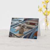 Sinbad le chat marin - Carte de voeux (Fleur jaune)