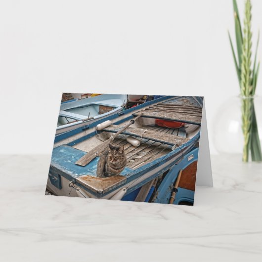 Sinbad le chat marin - Carte de voeux (Devant)