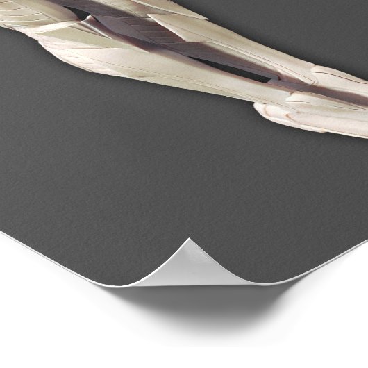 Sinestro 2 poster (Hoek)