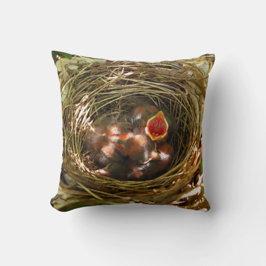 Sing Out [baby Robins] - kussen (Voorkant)