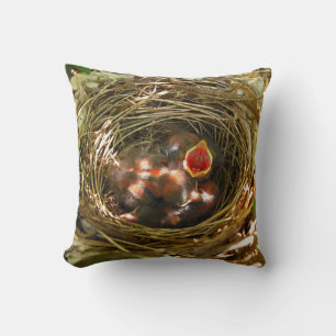 Sing Out [Robins de bébé] - coussin