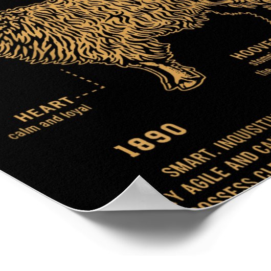 Sing Second The Goat (on Back) Poster (Hoek)