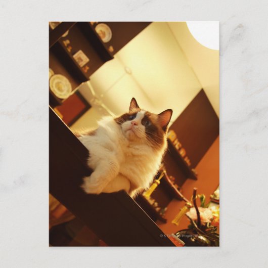 Singapore 6 briefkaart (Voorkant)