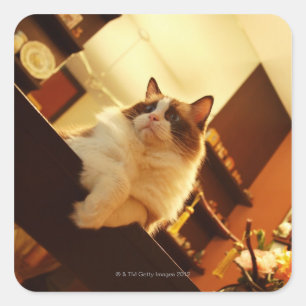 Singapore 6 vierkante sticker